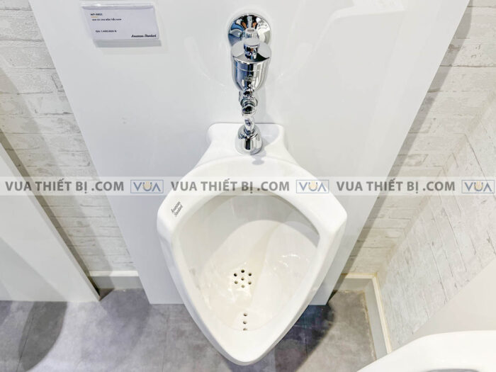 anh thuc te bon tieu nam american standard vf 0412 wf 9802 4