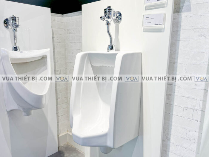 anh thuc te bon tieu nam american standard vf 6401 wf 9802 4