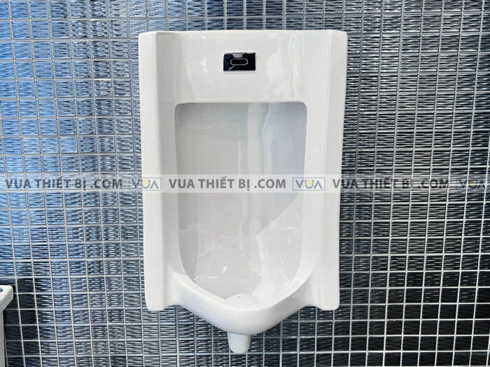 anh thuc te bon tieu nam american standard wp 6506 2