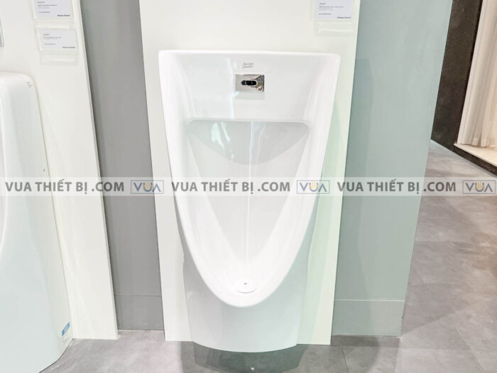 anh thuc te bon tieu nam american standard wp 6507 3