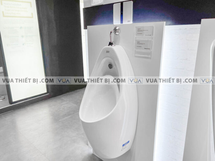 anh thuc te bon tieu nam american standard wp 6737t wp 8604 2