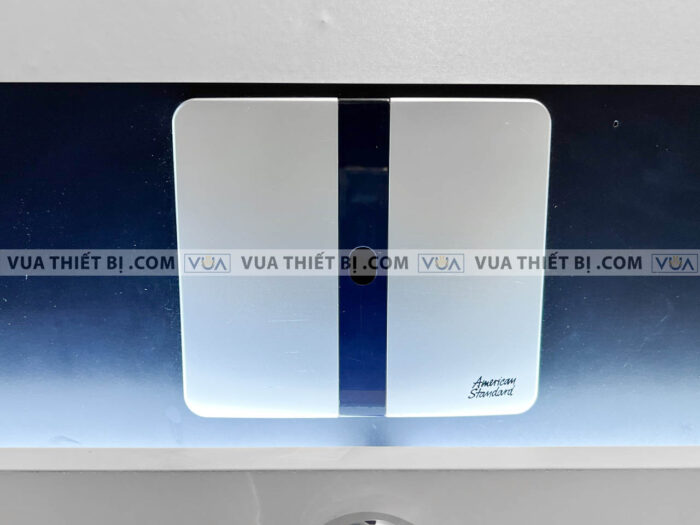 anh thuc te bon tieu nam american standard wp 6737t wp 8604 3