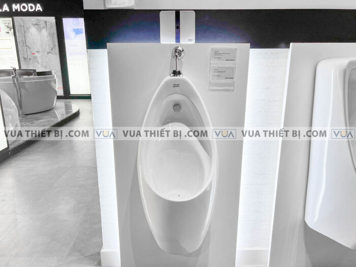 anh thuc te bon tieu nam american standard wp 6737t wp 8604 4