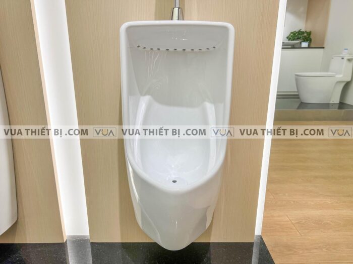 anh thuc te bon tieu nam inax au 431vr treo tuong 5