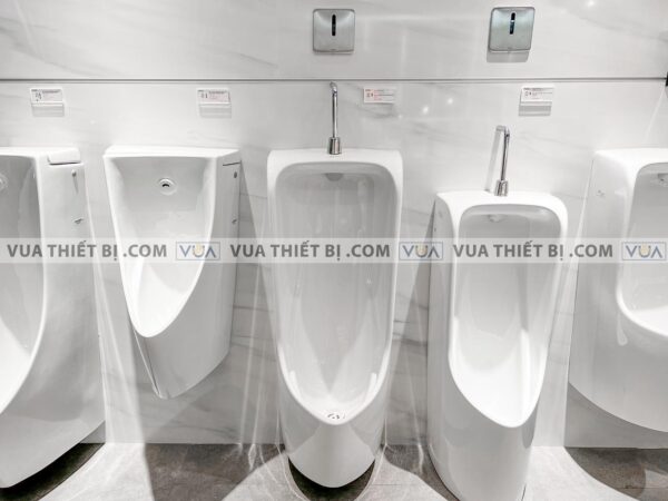 anh thuc te bon tieu nam toto ut500t treo tuong 1