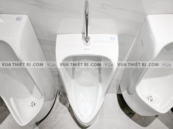 anh thuc te bon tieu nam toto ut508t dat san 3