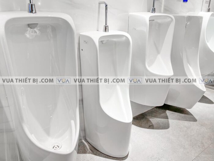 anh thuc te bon tieu nam toto ut508t dat san 4