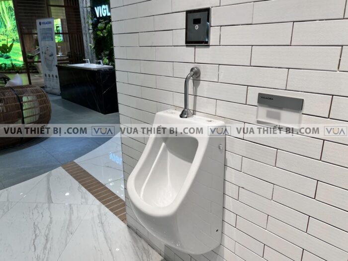 anh thuc te bon tieu nam viglacera t50 xa cam ung vg843 1