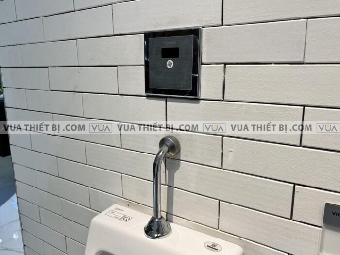 anh thuc te bon tieu nam viglacera t50 xa cam ung vg843 2