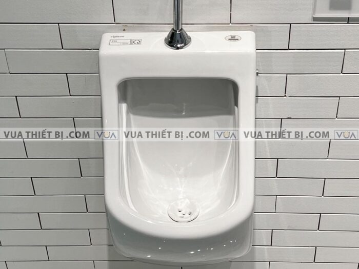 anh thuc te bon tieu nam viglacera t50 xa cam ung vg843 3