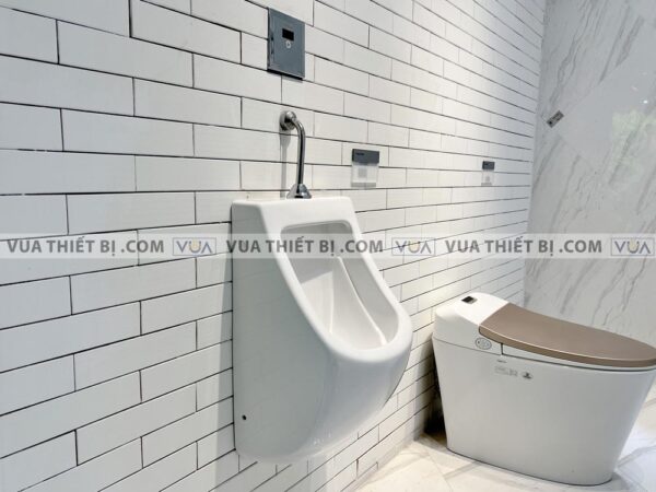 anh thuc te bon tieu nam viglacera t50 xa cam ung vg843 4