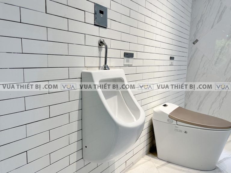 anh thuc te bon tieu nam viglacera t50 xa cam ung vg843 4