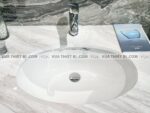 anh thuc te chau rua mat lavabo toto lw1506v tl516gv am ban 1