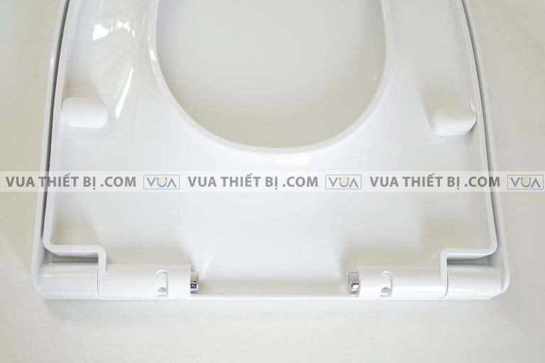 anh thuc te nap bon cau inax cf 602vs cf602vs roi em 4