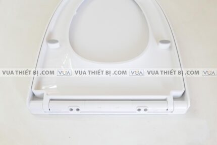 anh thuc te nap bon cau inax cf 832vs cf832vs roi em 5