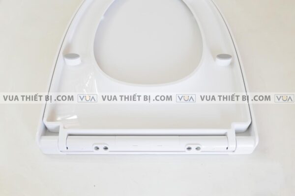 anh thuc te nap bon cau inax cf 832vs cf832vs roi em 5