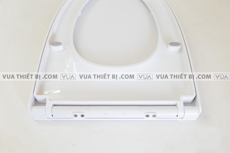 anh thuc te nap bon cau inax cf 832vs cf832vs roi em 5