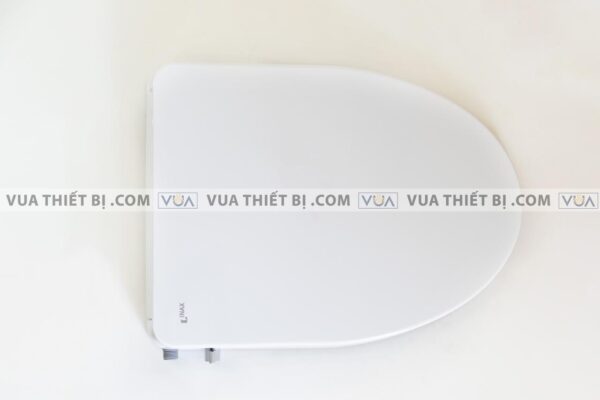 anh thuc te nap bon cau inax cw s15vn rua co 10