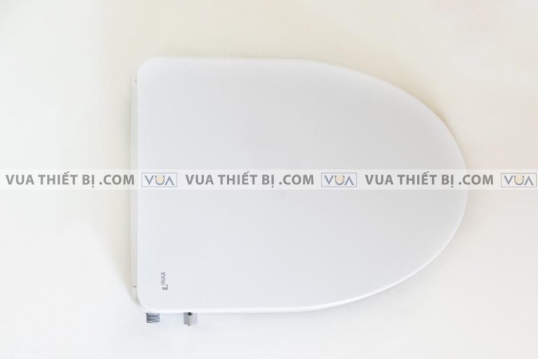 anh thuc te nap bon cau inax cw s15vn rua co 10