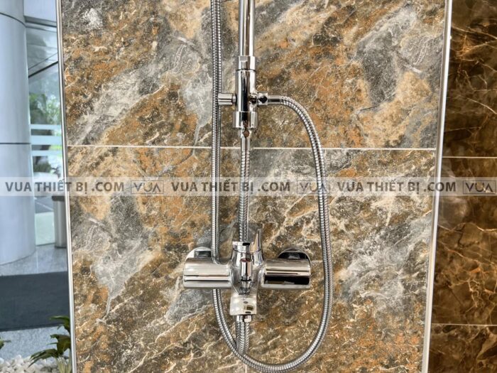 anh thuc te sen cay viglacera vg5111 4