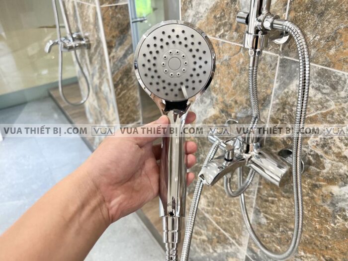 anh thuc te sen cay viglacera vg5111 5