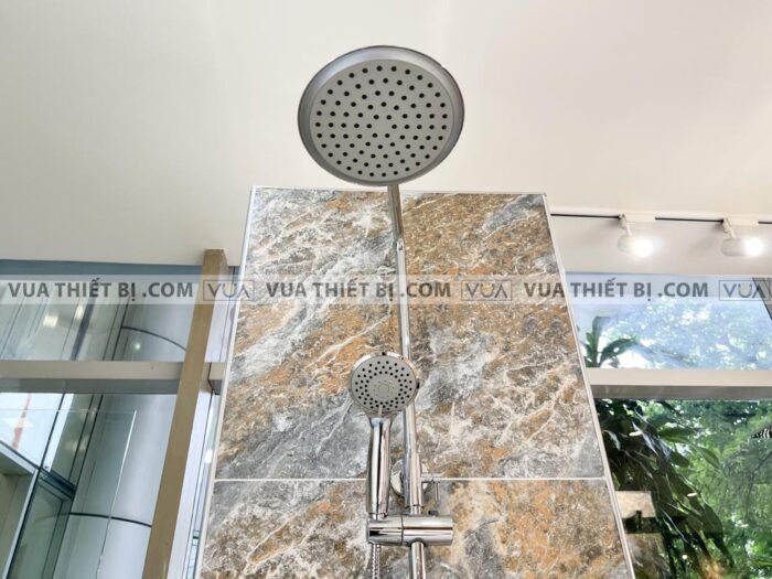 anh thuc te sen cay viglacera vg581 5