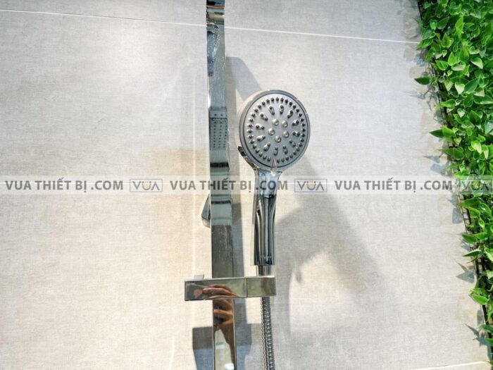 anh thuc te sen cay viglacera vg592 3