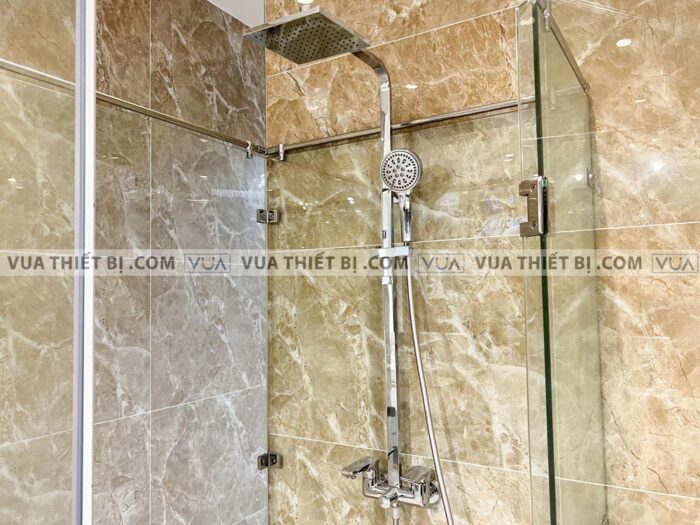 anh thuc te sen cay viglacera vg593 1