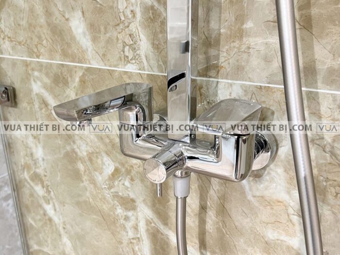 anh thuc te sen cay viglacera vg593 2