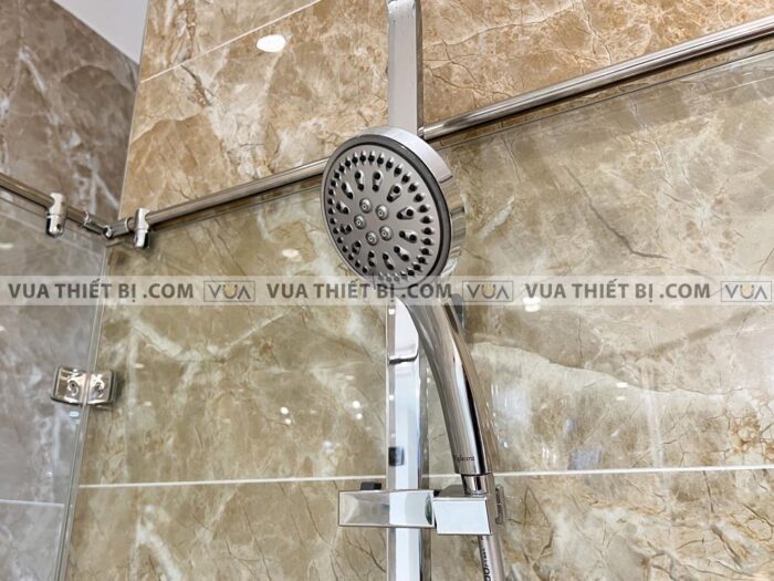 anh thuc te sen cay viglacera vg593 3