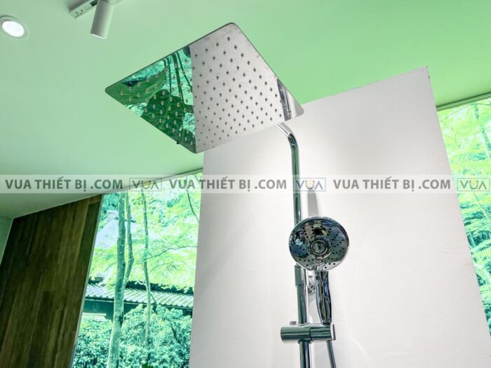 anh thuc te sen cay viglacera vg595 4