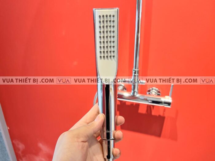 anh thuc te sen cay viglacera vg596 5