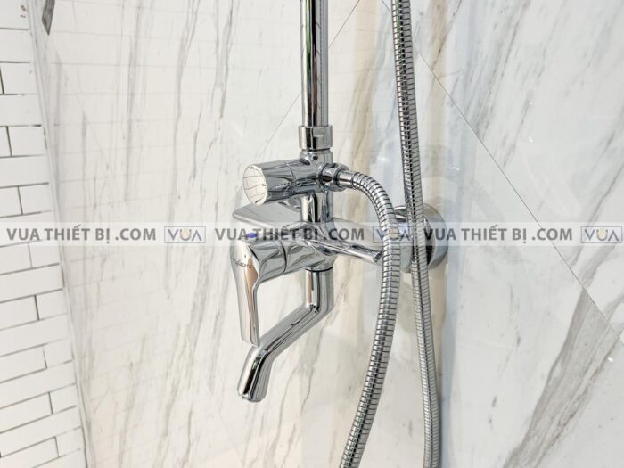 anh thuc te sen cay viglacera vg597 2