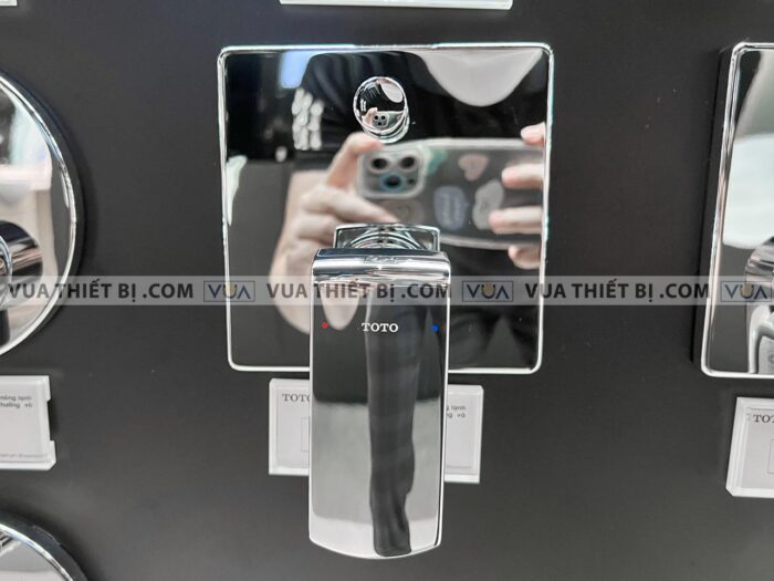 anh thuc te van gat gu toto tbg02304b tbn01001b sen am tuong gr 1