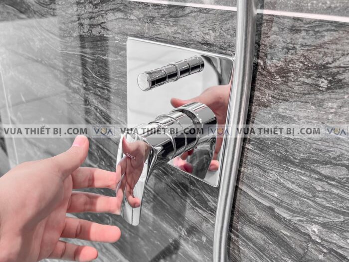 anh thuc te van gat gu toto tbg09304v tbn01001b sen am tuong gm 2 1