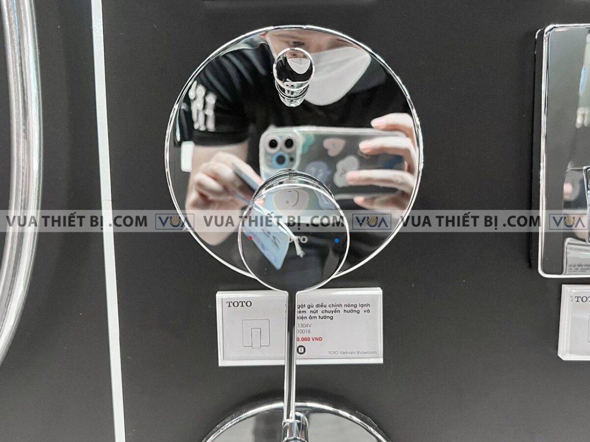 anh thuc te van gat gu toto tbg11304v tbn01001b sen am tuong gf 1