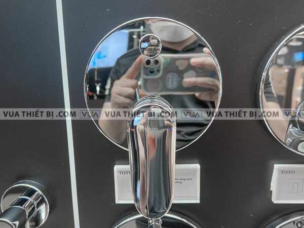 anh thuc te van gat gu toto tbs04304b sen am tuong lf 1