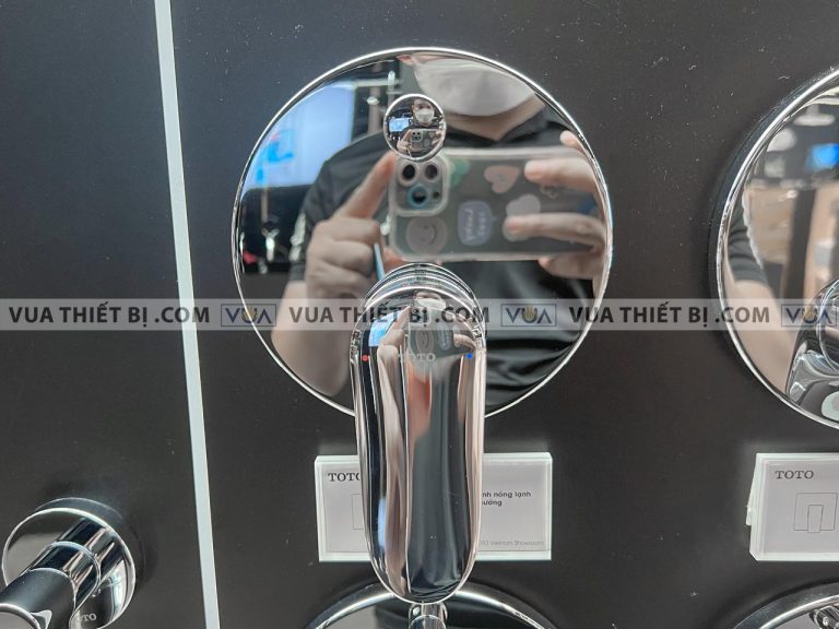 anh thuc te van gat gu toto tbs04304b sen am tuong lf 1