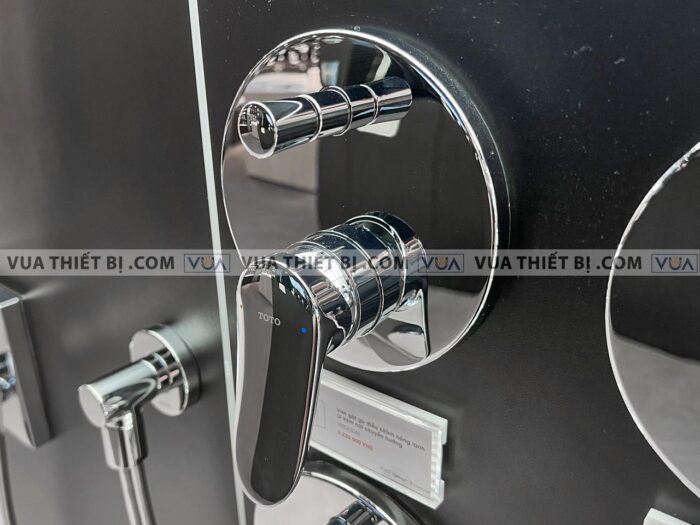 anh thuc te van gat gu toto tbs04304b sen am tuong lf 2