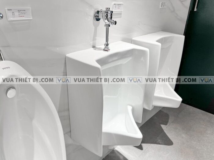 anh thuc te van xa tieu nam toto du601n dang nhan lap noi 1