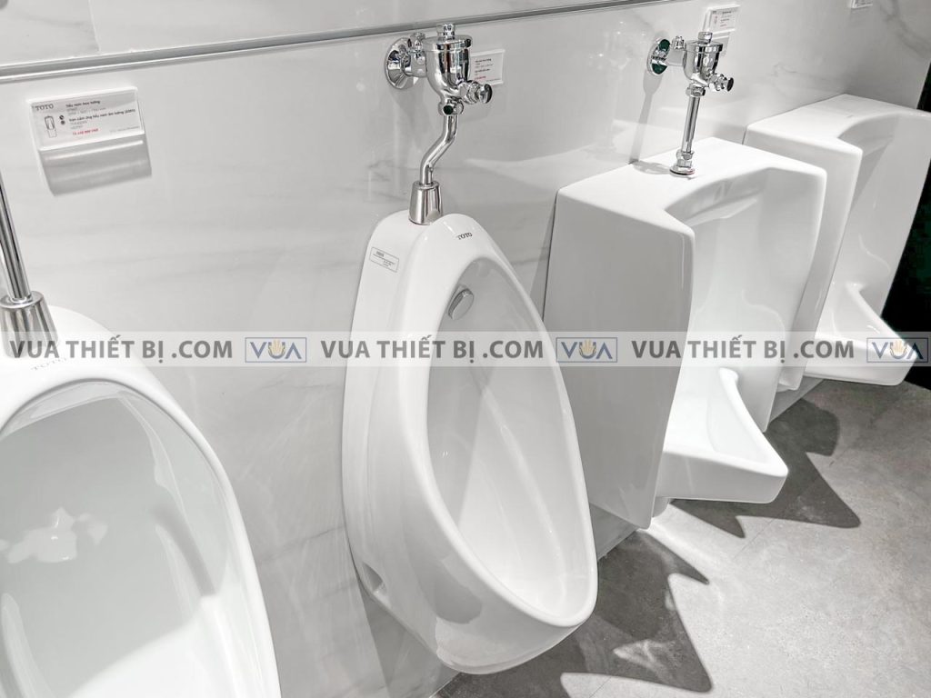 anh thuc te van xa tieu nam toto t60s dang nhan lap noi 1