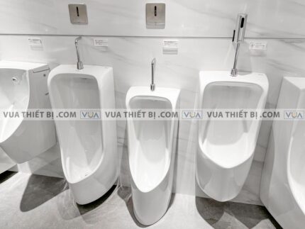 anh thuc te van xa tieu nam toto ttue602dn cam ung dung pin am tuong 1