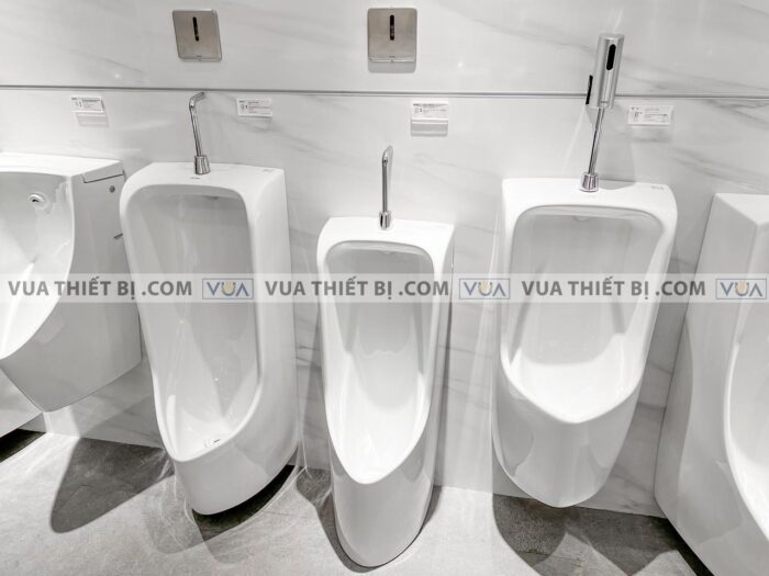 anh thuc te van xa tieu nam toto ttue602dn cam ung dung pin am tuong 1