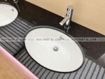 anh thuc te voi chau lavabo inax lfv 8000s nong lanh 3