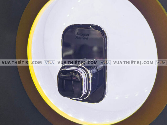 anh thuc te voi sen am tuong lanh american standard wf t826 1