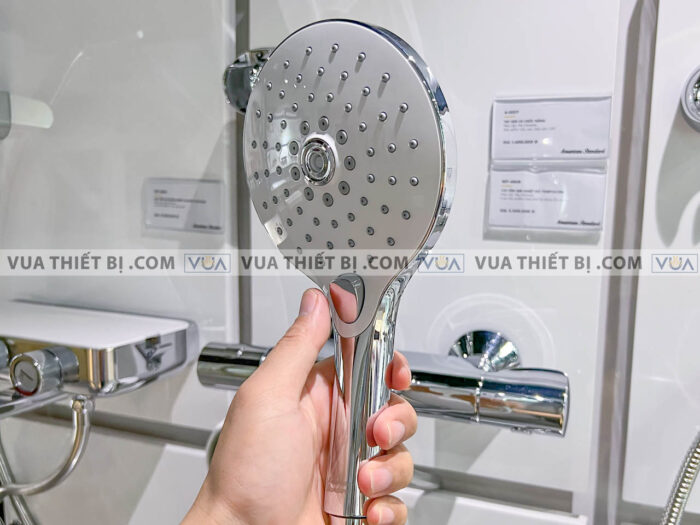 anh thuc te voi sen american standard a 0017 wf 4949 5