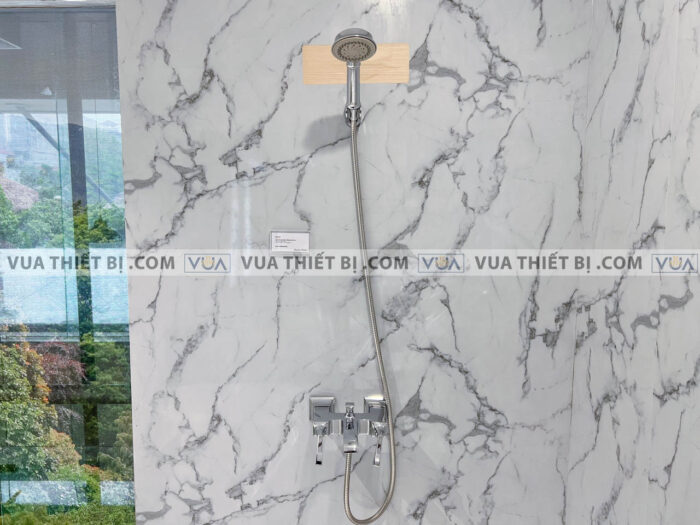 anh thuc te voi sen american standard wf 1611 2_1