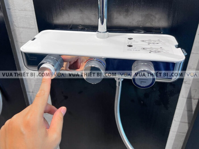 anh thuc te voi sen american standard wf 4956 11