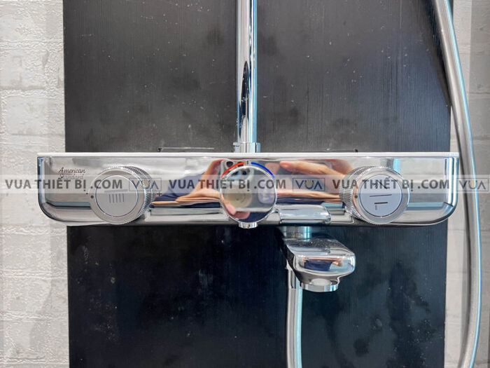 anh thuc te voi sen american standard wf 4956 4