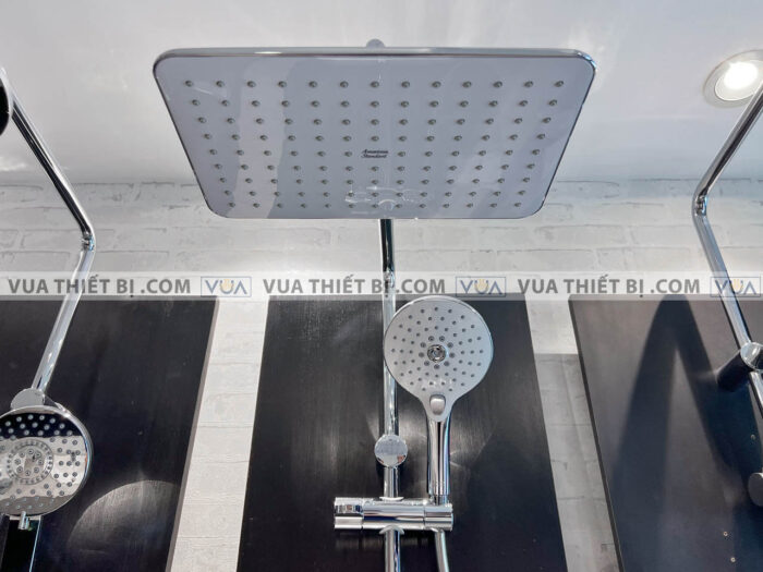 anh thuc te voi sen american standard wf 4956 7